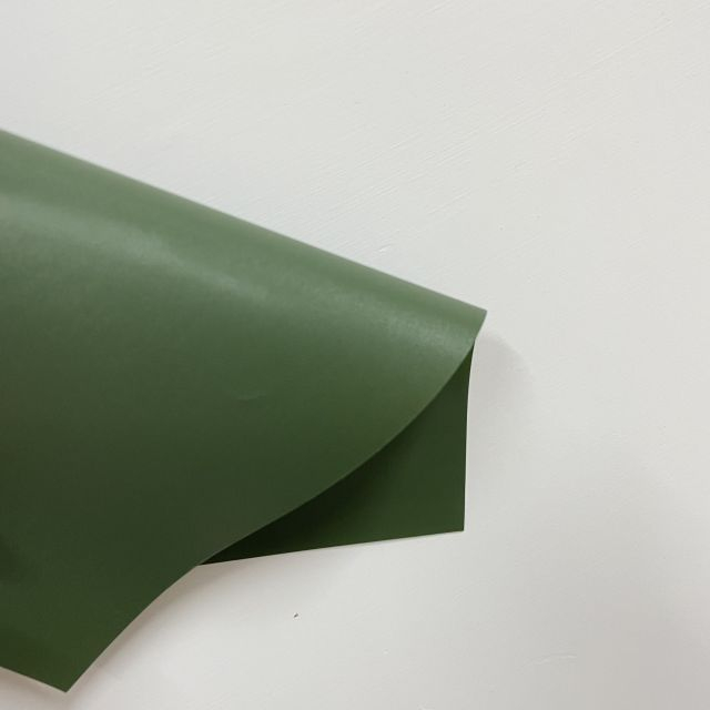 Anti-UV Light Dark Green PVC styv film för staket och gräs